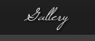 link to gallery page