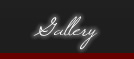 link to gallery page